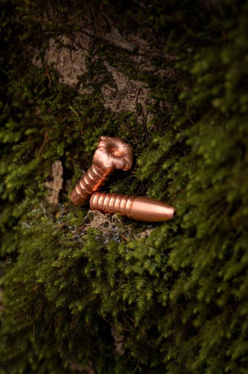 2 x Jagdgeschoss liegend auf Moos 2 x Jagdgeschoss liegend auf Moos